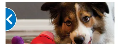 Business 4 image PETSMART Tropical Fish in Tucson AZ