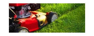 Business 6 image PICTURE PERFECT PROPERTY MANAGEMENT in Hampton GA