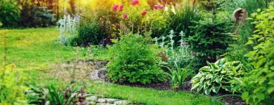 Business 7 image PICTURE PERFECT PROPERTY MANAGEMENT in Hampton GA