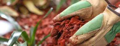 Business 8 image PICTURE PERFECT PROPERTY MANAGEMENT in Hampton GA