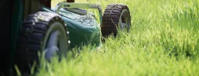 Business 9 image PICTURE PERFECT PROPERTY MANAGEMENT in Hampton GA