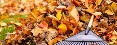 Business 17 image PICTURE PERFECT PROPERTY MANAGEMENT in Hampton GA