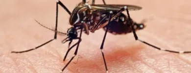 Business 1 image PIED PIPER PEST CONTROL Pest Control Services in Bronx NY
