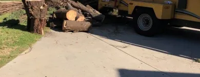 Business 3 image PINEDA'S TREE CARE in Winnetka CA