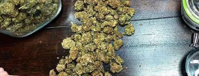 Business 2 image PLANT MED OKC DISPENSARY in Oklahoma City OK