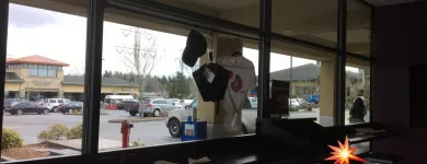 Business 44 image PNW SERVICES LLC Power Washing in Auburn WA