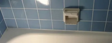 Business 1 image PRO GROUT Home Improvement in San Jose CA