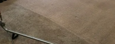 Business 2 image PURE HEAVEN CARPET & UPHOLSTERY CLEANING Business & Professional Services in Georgetown TX