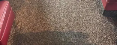 Business 3 image PURE HEAVEN CARPET & UPHOLSTERY CLEANING Business & Professional Services in Georgetown TX