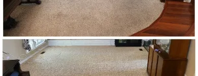 Business 1 image QUALITY STEAMER Carpet & Rug Cleaners in San Diego CA