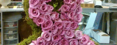 Business 7 image QUILL'S BUNCHES Gift Shops in Wilmington DE