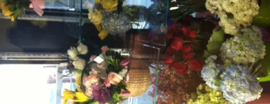 Business 4 image QUILL'S BUNCHES Gift Shops in Wilmington DE