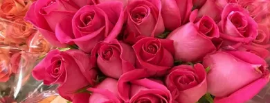 Business 7 image RALPHS Seafood Market in Irvine CA