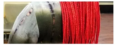 Business 7 image RAMAS HAIR BRAIDING Personal Care Services in Indianapolis IN