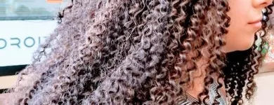 Business 25 image RAMAS HAIR BRAIDING Personal Care Services in Indianapolis IN