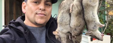 Business 3 image RAPID RODENT REMOVAL Pest Control Service in San Jose CA