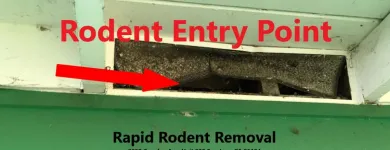 Business 7 image RAPID RODENT REMOVAL Pest Control Service in San Jose CA