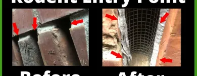 Business 10 image RAPID RODENT REMOVAL Pest Control Service in San Jose CA