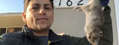 Business 12 image RAPID RODENT REMOVAL Pest Control Service in San Jose CA