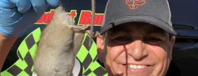 Business 13 image RAPID RODENT REMOVAL Pest Control Service in San Jose CA
