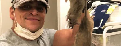 Business 14 image RAPID RODENT REMOVAL Pest Control Service in San Jose CA