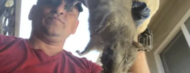 Business 15 image RAPID RODENT REMOVAL Pest Control Service in San Jose CA