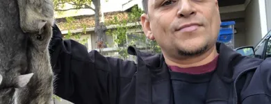 Business 18 image RAPID RODENT REMOVAL Pest Control Service in San Jose CA