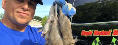 Business 19 image RAPID RODENT REMOVAL Pest Control Service in San Jose CA