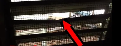 Business 20 image RAPID RODENT REMOVAL Pest Control Service in San Jose CA