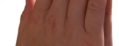 Business 17 image READY AND WILLING MINISTRIES Church in Toledo OH