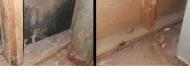 Business 9 image RENEW AGAIN SOLUTIONS Water Damage Restoration in Mcdonough GA