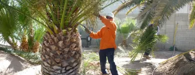 Business 1 image RIAN'S TREE SERVICE, LLC in Indianapolis IN