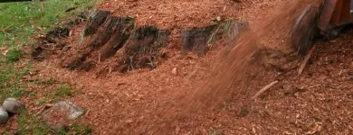 Business 2 image RIAN'S TREE SERVICE, LLC in Indianapolis IN