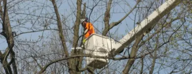 Business 1 image RICHMOND TREE SERVICE COMPANY in Mechanicsville VA