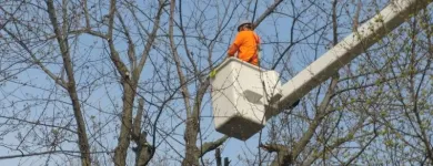 Business 2 image RICHMOND TREE SERVICE COMPANY in Mechanicsville VA
