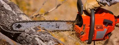 Business 4 image RICHMOND TREE SERVICE COMPANY in Mechanicsville VA