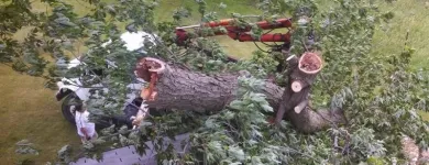 Business 5 image RICHMOND TREE SERVICE COMPANY in Mechanicsville VA