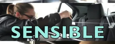 Business 1 image RIDESHARE SAFETY PARTITION in Chicago IL