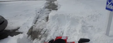 Business 7 image ROBERT SPENDAL INTERIOR DESIGN & LANDSCAPE LLC Sod & Sodding Service in Livonia MI