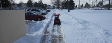 Business 8 image ROBERT SPENDAL INTERIOR DESIGN & LANDSCAPE LLC Sod & Sodding Service in Livonia MI