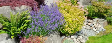 Business 1 image ROLLINS LAWNS Landscape Architects & Designers in Caldwell NJ