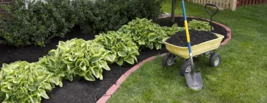 Business 2 image ROLLINS LAWNS Landscape Architects & Designers in Caldwell NJ