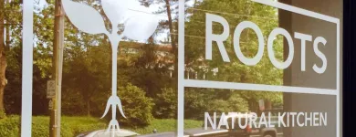 Business 4 image ROOTS NATURAL KITCHEN Takeout in Richmond VA