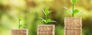Business 2 image ROSE CITY CREDIT REPAIR in Portland OR