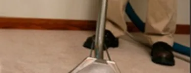 Business 4 image ROYAL CARPET AND AIR DUCT CLEANING Flooring Stores in Winnetka CA