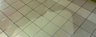Business 6 image ROYAL CARPET AND AIR DUCT CLEANING Flooring Stores in Winnetka CA