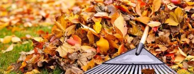 Business 1 image SAC LANDSCAPING Sprinkler Installation in Oakland CA