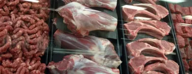 Business 48 image SARA'S MARKET & BAKERY Halal Food in Richardson TX