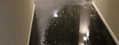 Business 3 image SERVPRO OF MARQUETTE PARK / WEST LAWN / FORD CITY Water Damage Restoration in Chicago IL