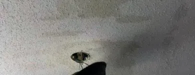 Business 6 image SERVPRO OF MARQUETTE PARK / WEST LAWN / FORD CITY Water Damage Restoration in Chicago IL